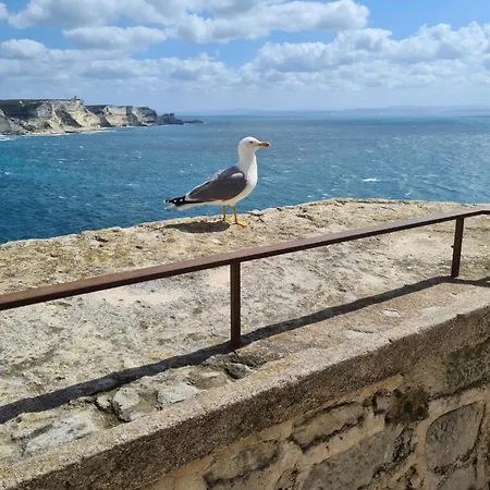 Moderne Et Cosy * Bonifacio (Corsica)
